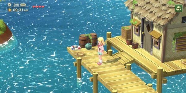 Harvest Moon: Home Sweet Home: Gameplay, Tips, dan Trik