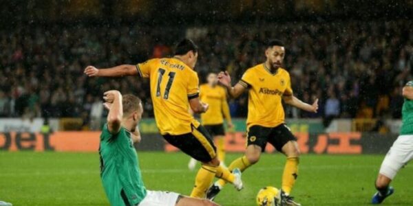 Dua Gol Telat Newcastle, Bungkam Wolves di Molineux Halaman 1