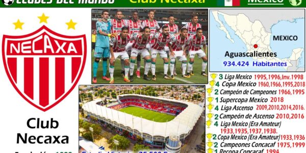 Profil dan Prestasi Klub Sepak Bola Necaxa