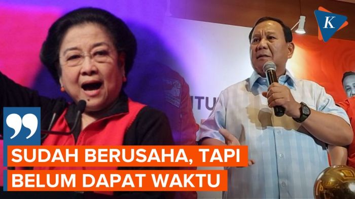 Puan Sebut Pertemuan Megawati-Prabowo Secepatnya di Waktu