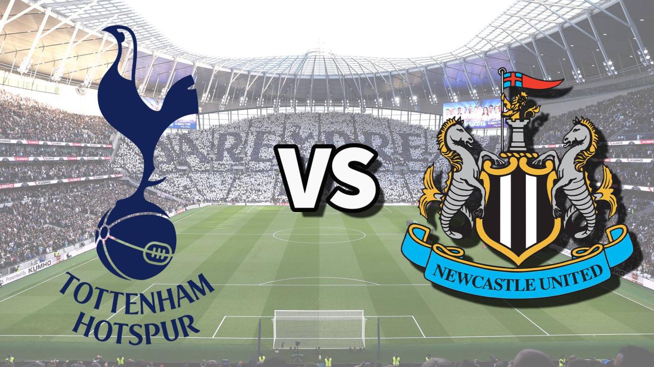 Susunan Pemain Newcastle vs Tottenham Liga Inggris