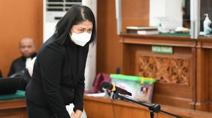 Profil Widiyanti Putri Wardhana, Pengusaha Masuk Radar Menteri