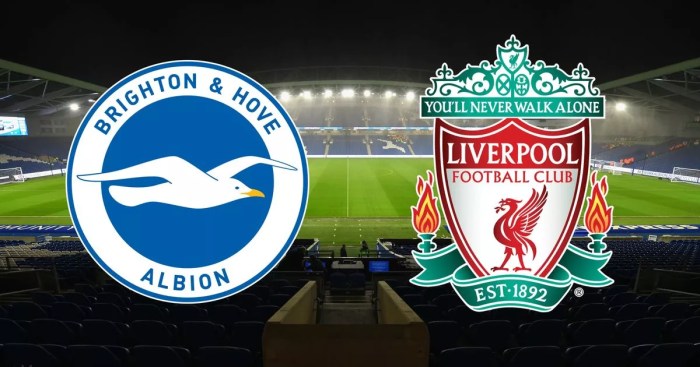 TIGATOGEL - Liverpool vs Brighton